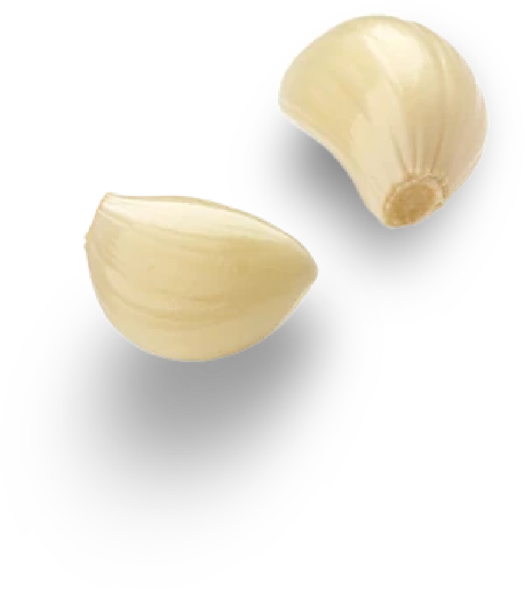 Dientes de Ajo
